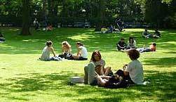 Grilla fisk, grönsaker och rotfrukter. wegrill sweden
